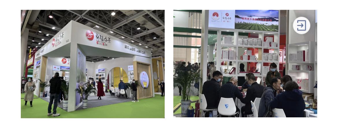 桑植白茶展区、乐鱼网页版-乐鱼（中国）官方桑植白茶展位.jpg